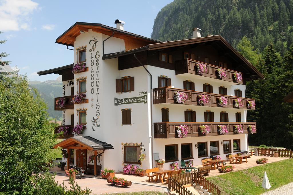 Cesa Edelweiss Living & Spa Campitello di Fassa Dış mekan fotoğraf