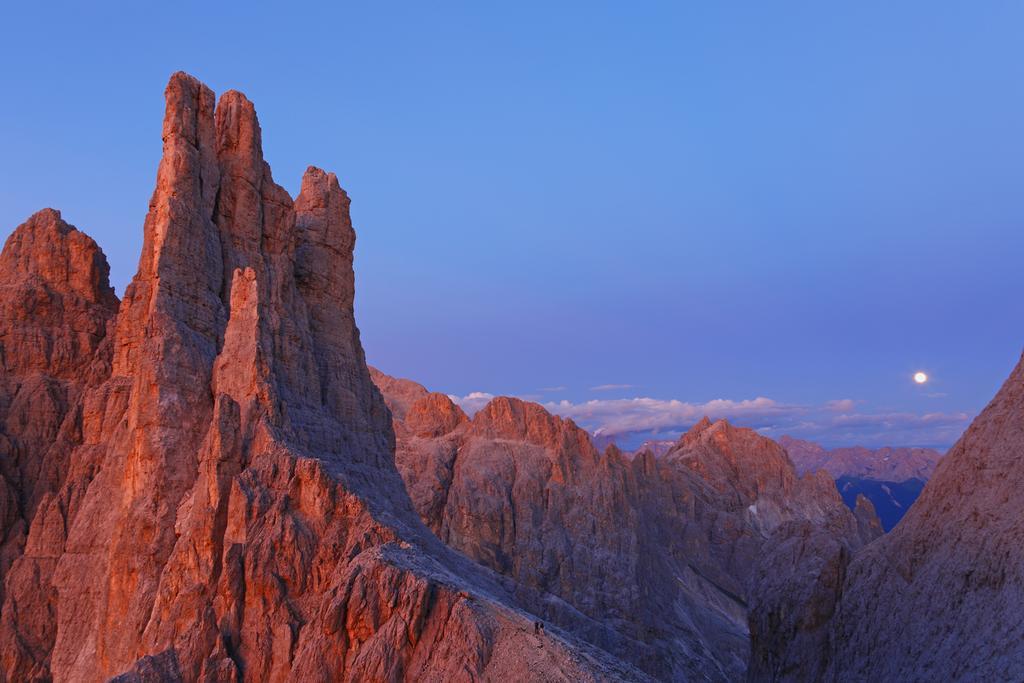 Cesa Edelweiss Living & Spa Campitello di Fassa Dış mekan fotoğraf